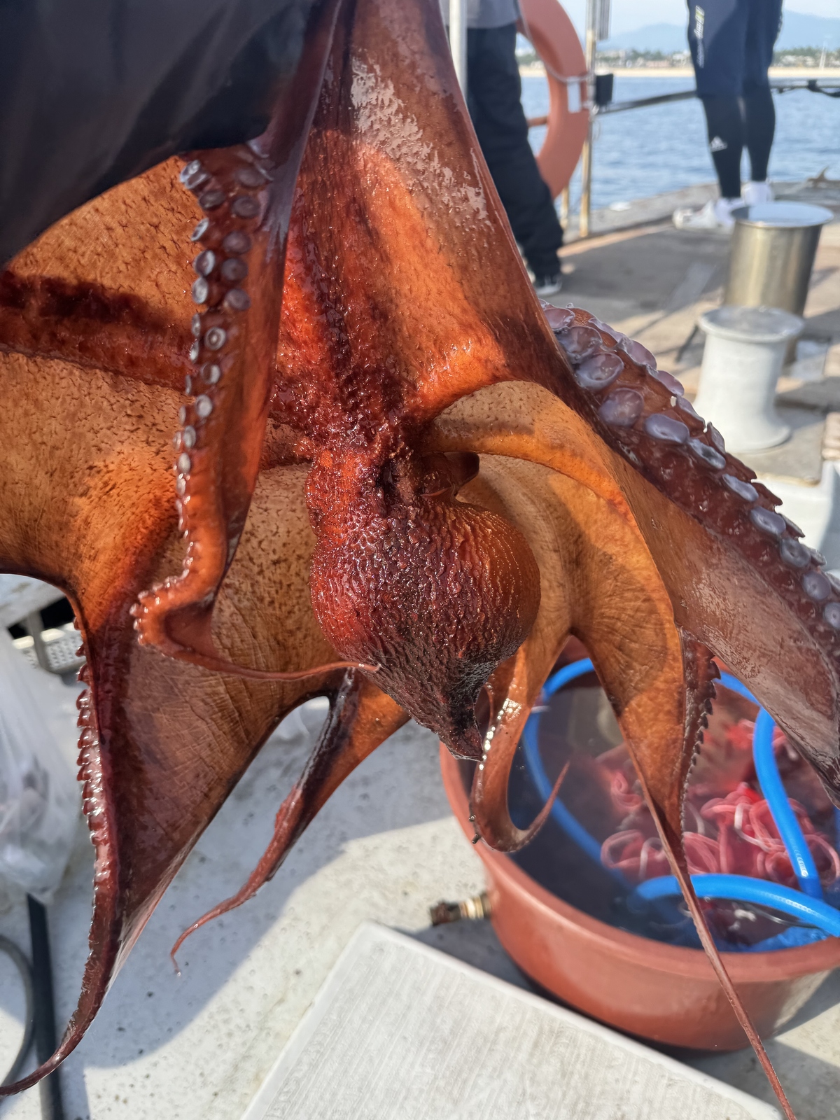 6317df0ce2a58167d48dee57a6a8a5fb_1780381745_4844.jpg