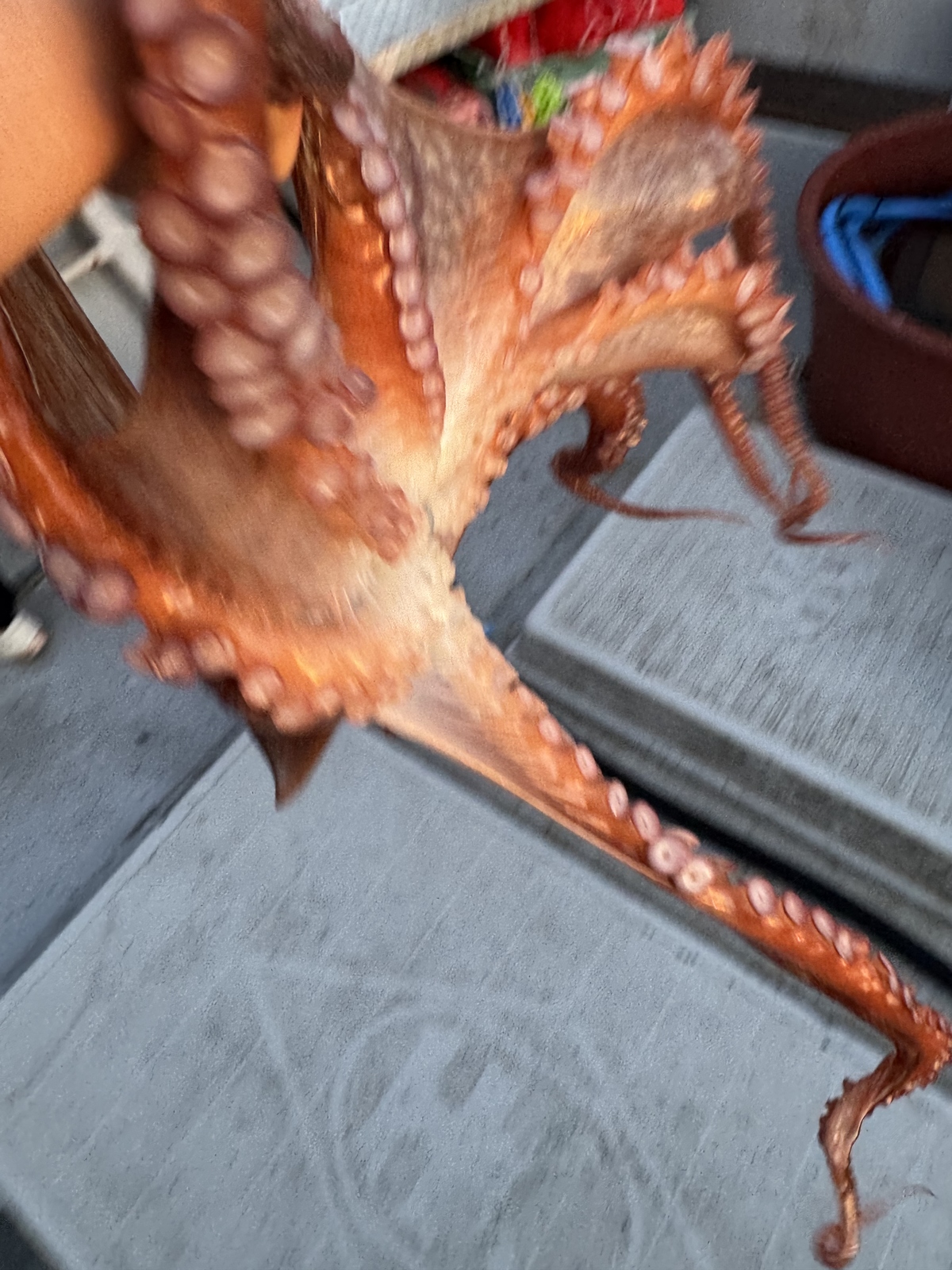 d80178d6ceb0acf2979e227c6d64e054_1785498476_3136.jpg