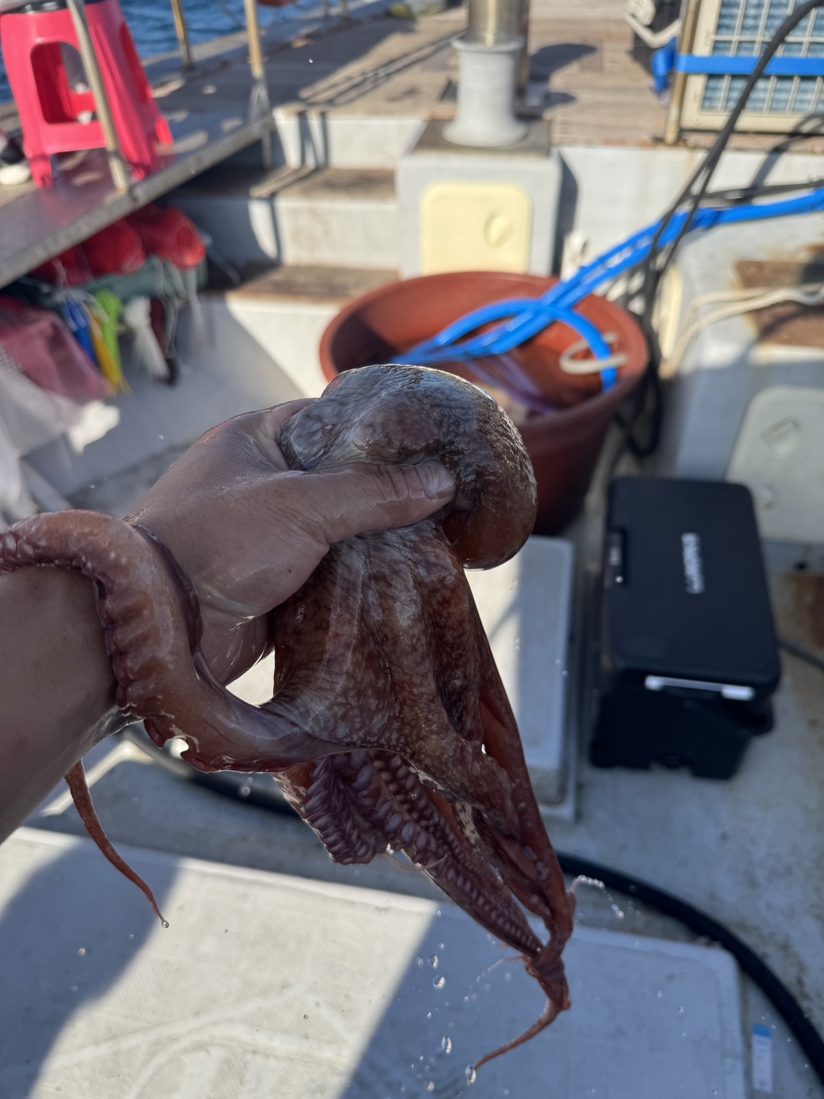 d80178d6ceb0acf2979e227c6d64e054_1785498487_7304.jpg